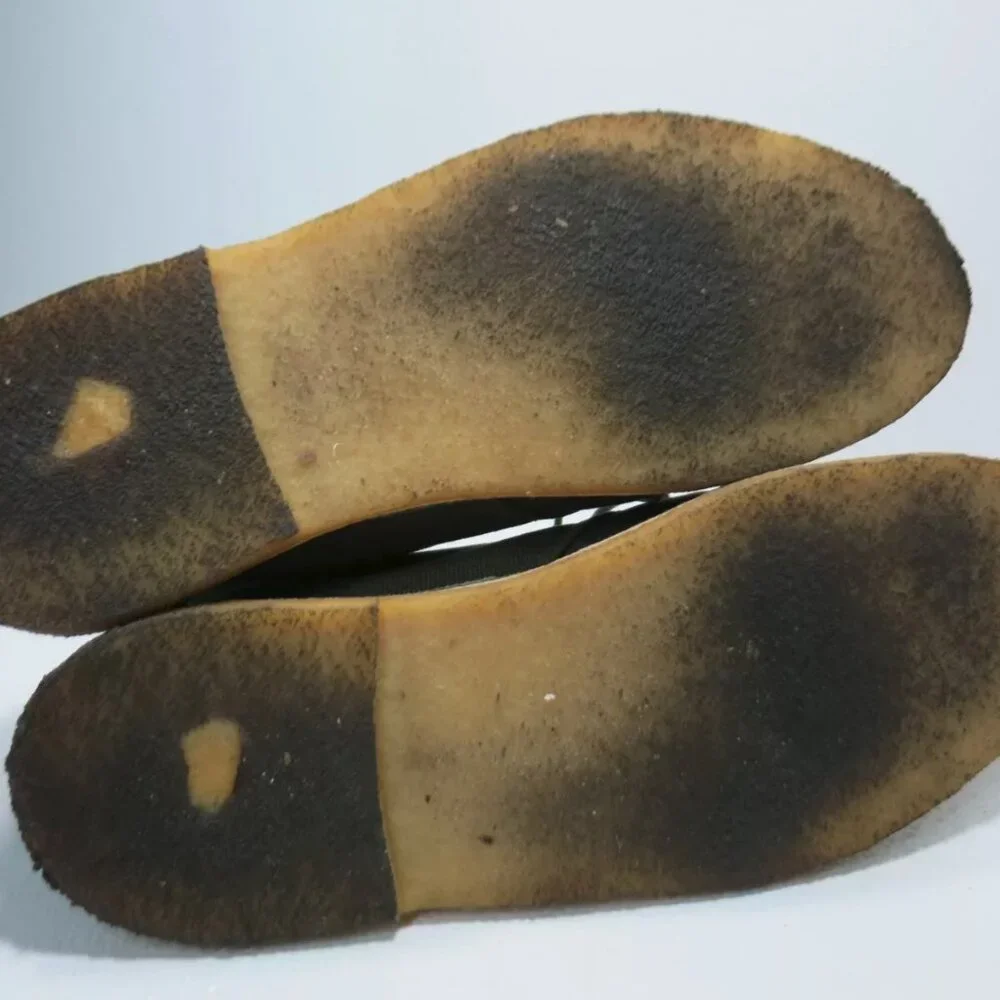 Clarks originals canvas